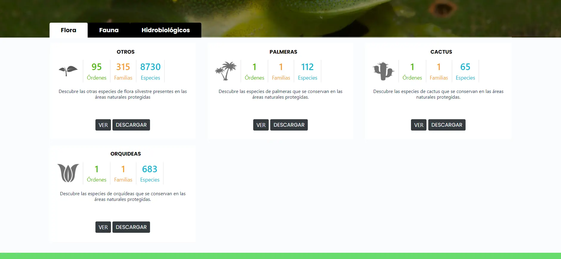 /images/portfolio/portal-biodiversidad/portal-biodiversidad-capture-3.webp