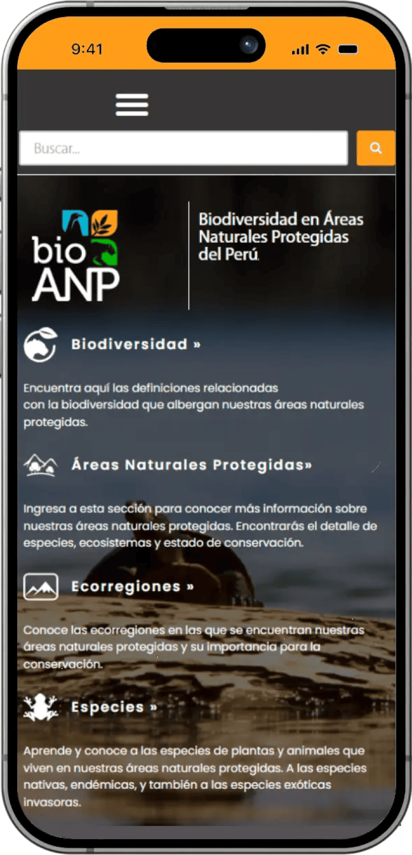 /images/portfolio/portal-biodiversidad/portal-biodiversidad-mobile-responsive.png